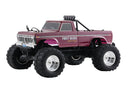 FMS 1/10 Ford F100 2WD Monster Truck