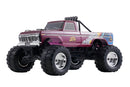 FMS 1/10 Ford F100 2WD Monster Truck