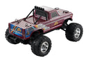 FMS 1/10 Ford F100 2WD Monster Truck