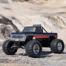 FMS 1/10 Ford F100 2WD Monster Truck