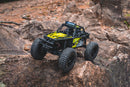 FMS 1/24 FCX24 Lemur RTR RC Car