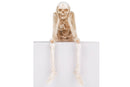 Halloween Skeleton Figurine – Poseable Doll for 1/7 & 1/10 RC Crawlers (1pc)