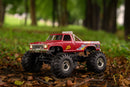 FMS 1/24 FCX24 Ford F-100 RC Truck RTR (Brushed)