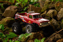 FMS 1/24 FCX24 Ford F-100 RC Truck RTR (Brushed)