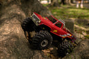 FMS 1/24 FCX24 Ford F-100 RC Truck RTR (Brushed)