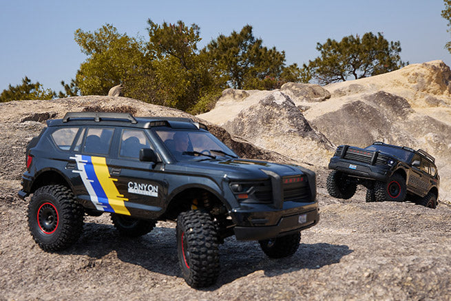 FMS 1/10 Canyon RS