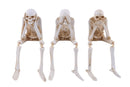 Halloween Skeleton Figurine – Poseable Doll for 1/7 & 1/10 RC Crawlers (1pc)