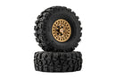 BATRAZZI Aluminum 1.0" Arachna Beadlock Wheels (4pcs)
