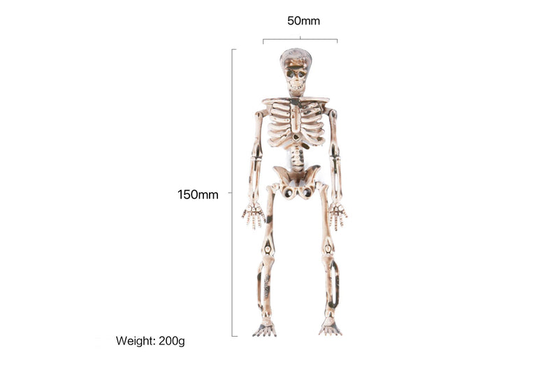 Halloween Skeleton 1pc (50×150mm)