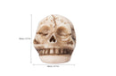 Halloween Mini Skeleton Head (1pc)