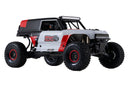 ROCHOBBY 1/7 Ridge Racer U4 Brushless Desert Buggy RS