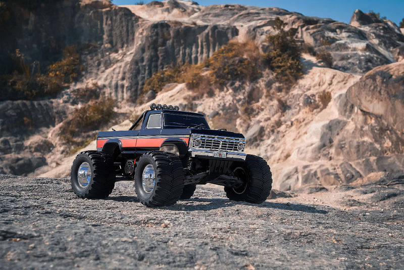Fms F100 FMS 1/10 Ford F100 2WD Monster Truck
