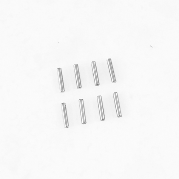 1:10 F100 Pin 2*10mm