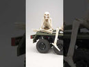 Halloween Skeleton Figurine – Poseable Doll for 1/7 & 1/10 RC Crawlers (1pc)