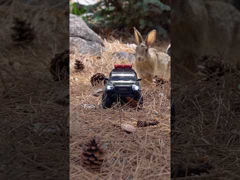 FairRC 1/24 FCX24M Taco Black Mamba Mod RTR